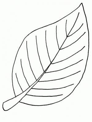 Leaf Coloring Pages Printable   ytgc4