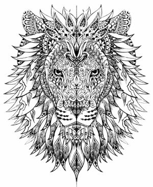 Lion Coloring Pages for Adults   86704