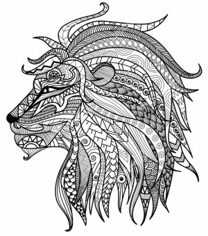 Lion Coloring Pages for Adults Printable   31622
