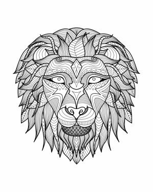 Lion Coloring Pages for Adults Printable   31662