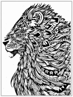 Lion Coloring Pages for Adults Printable   64831