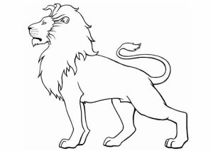 Lion Coloring Pages for Kids   31776