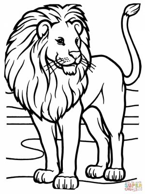 Lion Coloring Pages Free Printable   52258