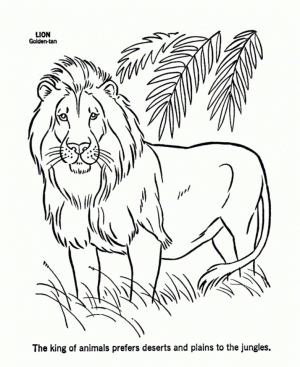 Lion Coloring Pages Free to Print   16481