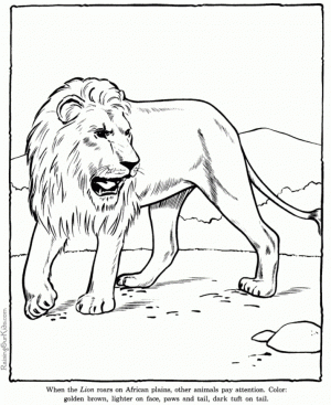 Lion Coloring Pages Free to Print   36941
