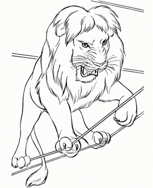 Lion Coloring Pages Free to Print   46228