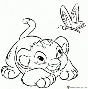 Lion Cub Coloring Pages for Kids   455521