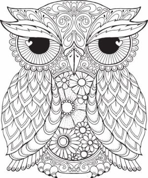 Mandala Coloring Pages For Adults Free Printable   22398