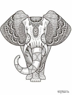 Mandala Elephant Coloring Pages   2x5cf43