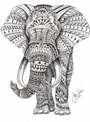 Mandala Elephant Coloring Pages   5f78h0