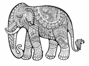 Mandala Elephant Coloring Pages   9f2fg6