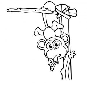 Monkey Coloring Pages for Kids   60692