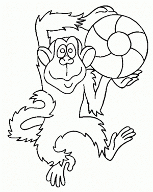 Monkey Coloring Pages Free to Print   56072