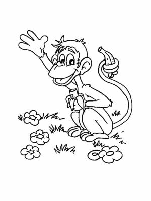 Monkey Coloring Pages Free to Print   60472