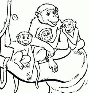 Monkey Coloring Pages Printable   39041