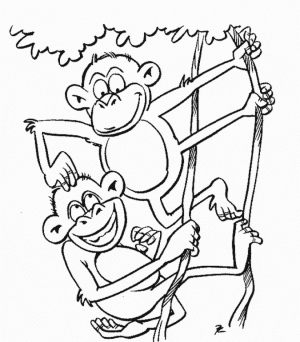 Monkey Coloring Pages Printable   40751