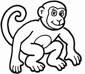 Monkey Coloring Pages Printable   70317