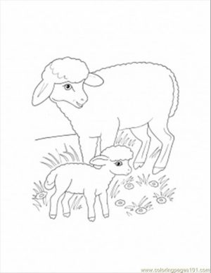 mother sheep and lamb coloring page   840jt