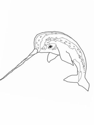 Narwhal Coloring Pages Free Printable   68103