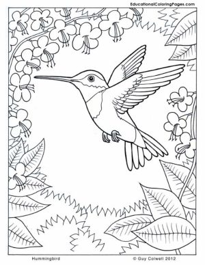 Nature Coloring Pages Free to Print   j6hdb