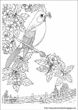 Nature Coloring Pages to Print for Kids   aiwkr
