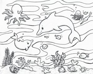 Ocean Animals Coloring Pages   7sbw0
