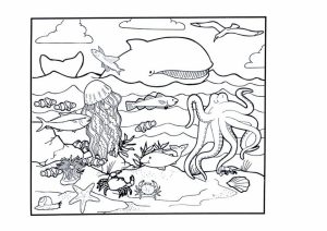 Ocean Animals Coloring Pages   8cb4m