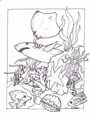Ocean Animals Coloring Pages   urb48