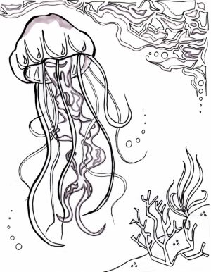 Ocean Coloring Pages for Adults   i57vb