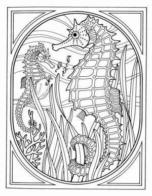 Ocean Coloring Pages for Adults   ufg59