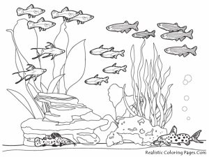 Ocean Coloring Pages for Kids   73bsl