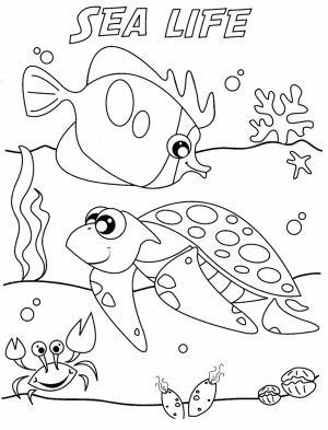Ocean Coloring Pages for Kids   wy371