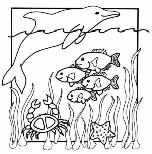 Ocean Coloring Pages for Preschoolers   y3m86