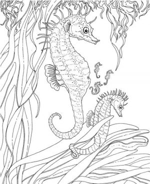 Ocean Coloring Pages Free   2756g