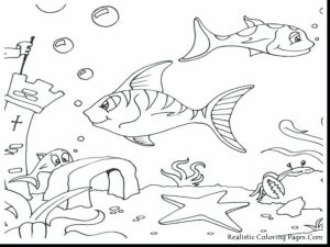 Ocean Coloring Pages Printable   27dh4