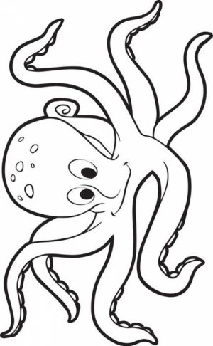 Octopus Coloring Pages Free Printable   p3frm