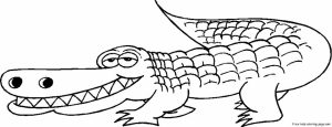 Online Alligator Coloring Pages for Kids   sz5em