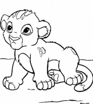 Online Baby Animal Coloring Pages   17433
