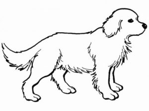 Online Coloring Pages Of Dogs   17433