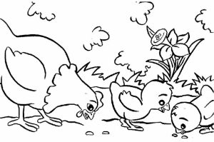 Online Farm Coloring Pages   AS1YC