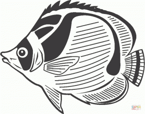 Online Fish Coloring Pages   289288