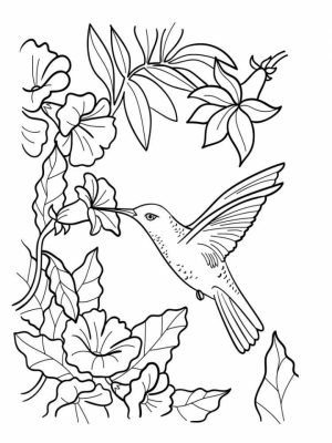 Online Hummingbird Coloring Pages   10437