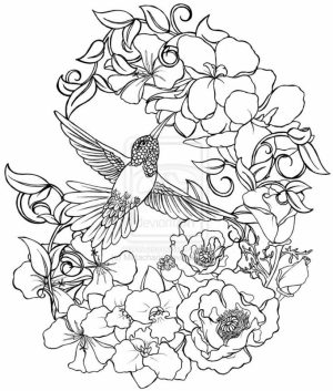 Online Hummingbird Coloring Pages   38730