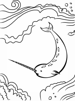 Online Narwhal Coloring Pages   10437