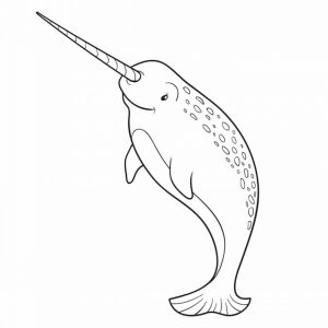Online Narwhal Coloring Pages   28344