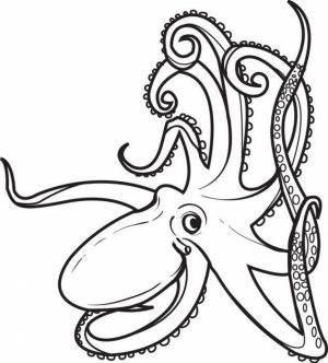 Online Octopus Coloring Pages   a9m0j