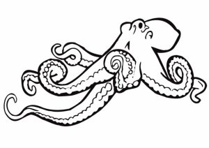 Online Octopus Coloring Pages   jzj9z
