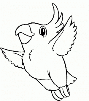 Online Parrot Coloring Pages   17433