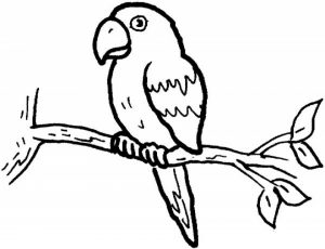 Online Parrot Coloring Pages   88275