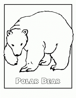 Online Polar Bear Coloring Pages to Print   swsyq